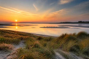 Parc naturel Baie de Somme : nature et culture